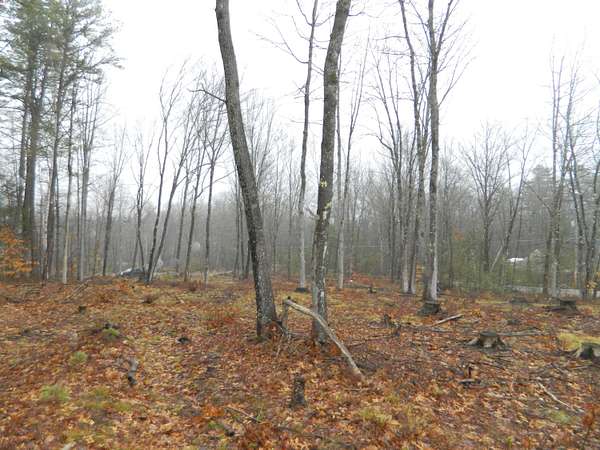 1.87 Acres of Residential Land for Sale in Shapleigh, Maine
