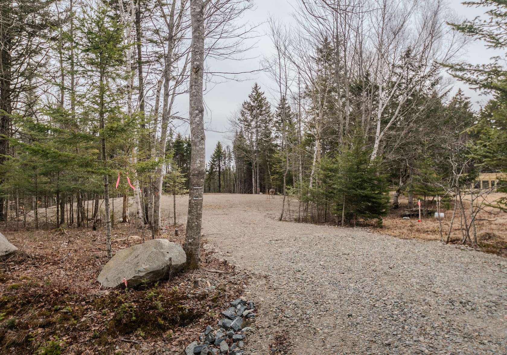 1 Acre of Residential Land for Sale in Marshfield, Maine