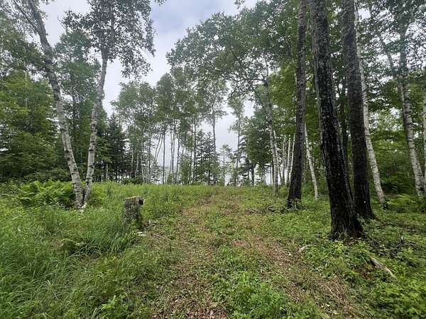 0.95 Acres of Residential Land for Sale in Machiasport, Maine