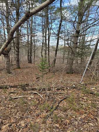 31.3 Acres of Recreational Land for Sale in Farmingdale, Maine