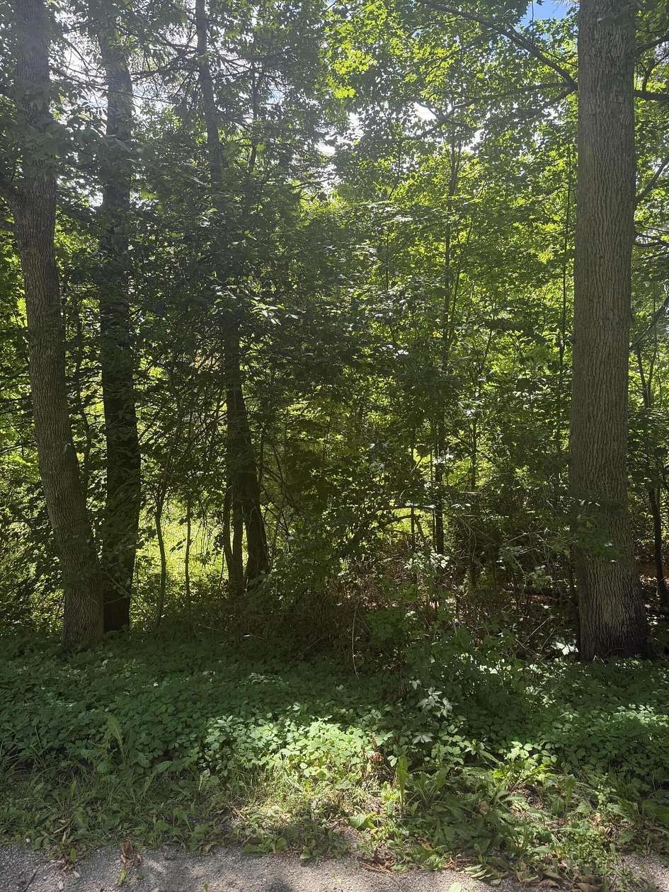 1 Acre of Residential Land for Sale in Belfast, Maine