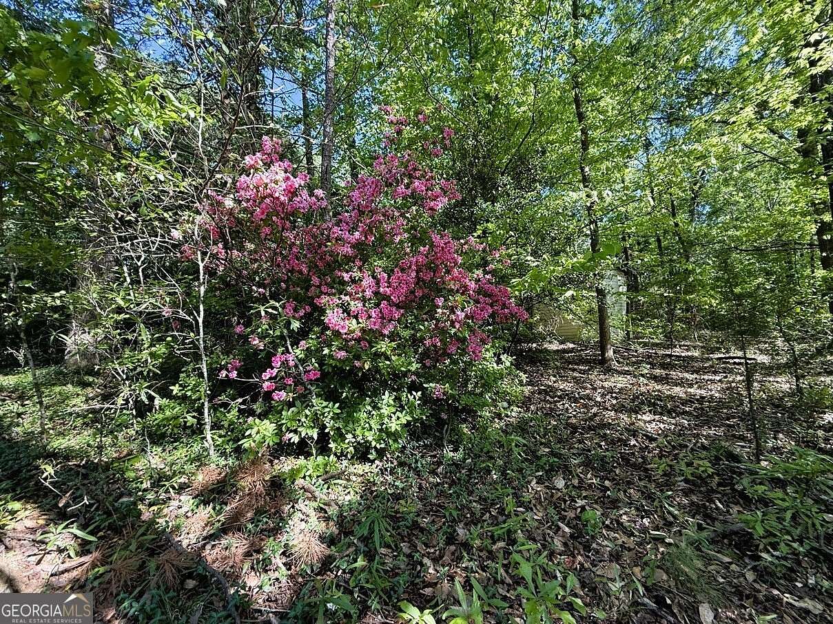 8.73 Acres of Land for Sale in Royston, Georgia