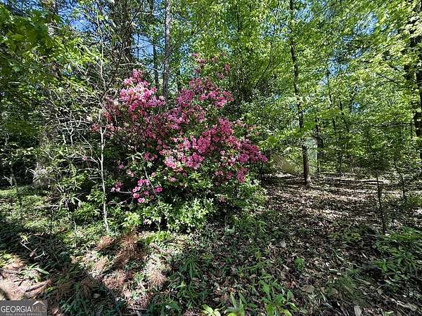 8.73 Acres of Land for Sale in Royston, Georgia