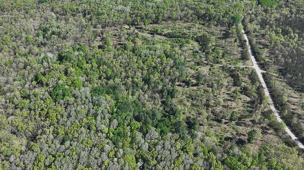 10 Acres of Recreational Land for Sale in Free Soil, Michigan