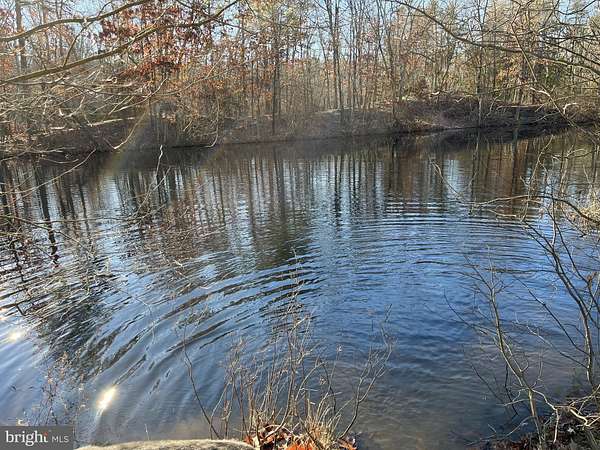 46.6 Acres of Agricultural & Residential Land for Sale in Shamong Township, New Jersey