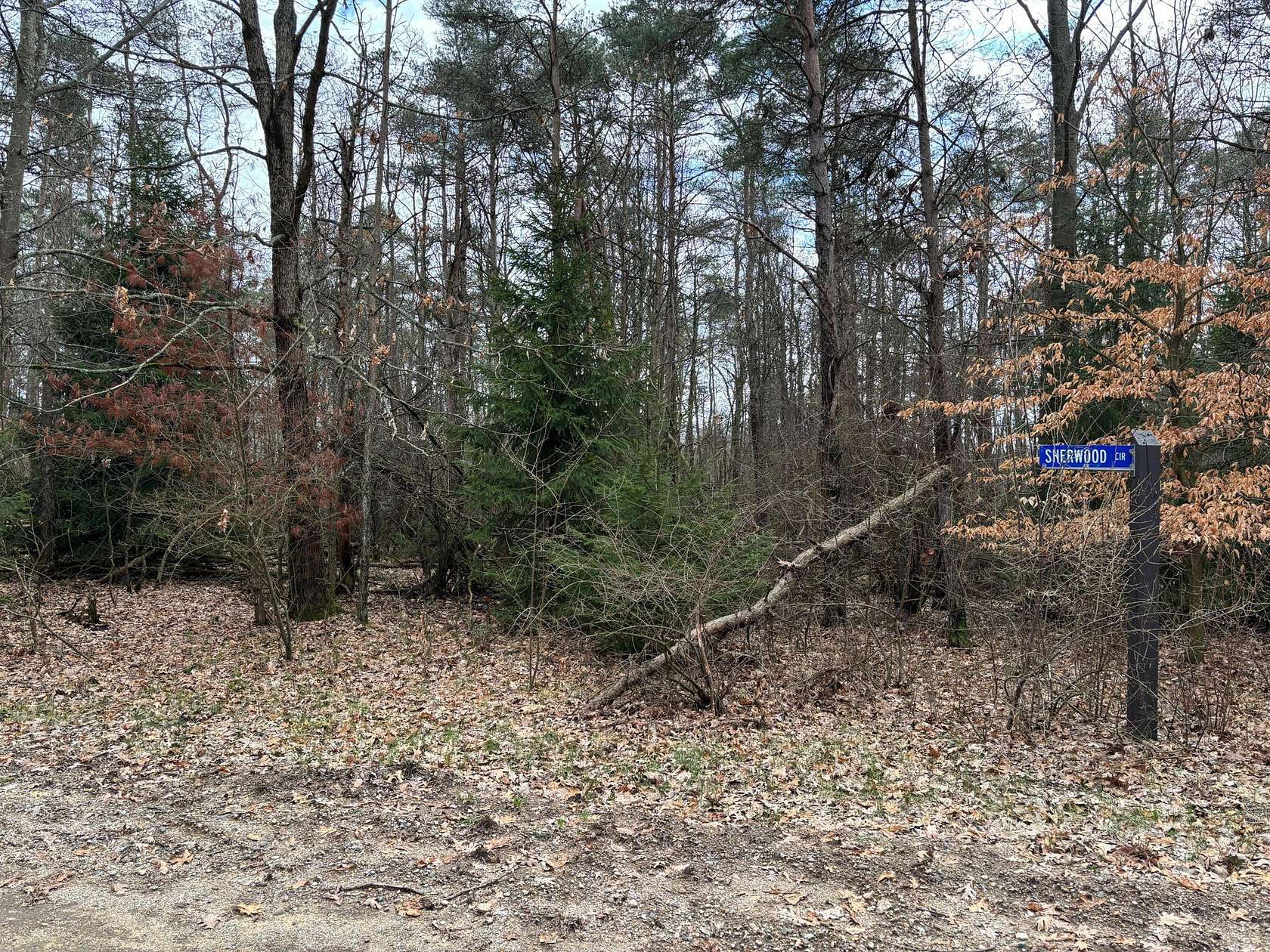 0.54 Acres of Land for Sale in Canadian Lakes, Michigan