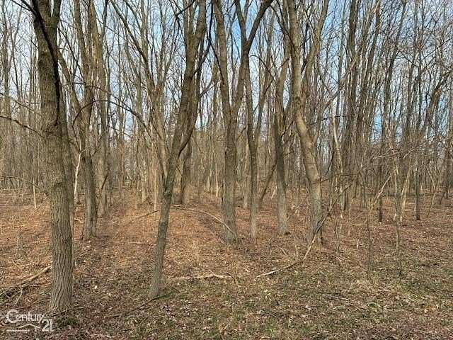 46 Acres of Land for Sale in South Lyon, Michigan