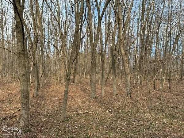 46 Acres of Land for Sale in South Lyon, Michigan
