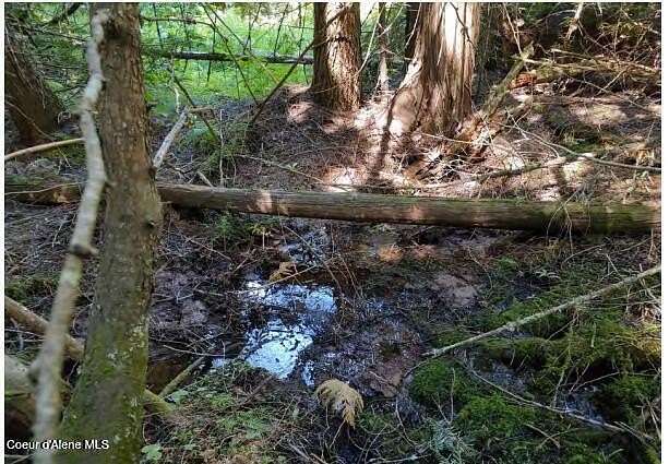 5.1 Acres of Recreational Land for Sale in St. Maries, Idaho