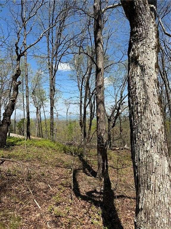 3 Acres of Residential Land for Sale in Jasper, Georgia