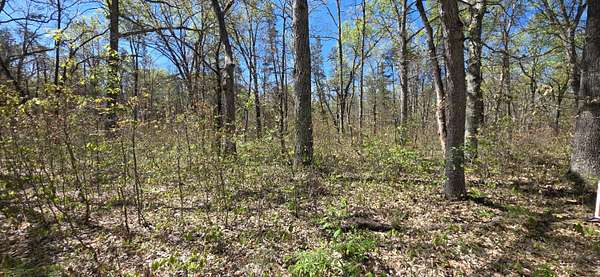 2.5 Acres of Land for Sale in Free Soil, Michigan