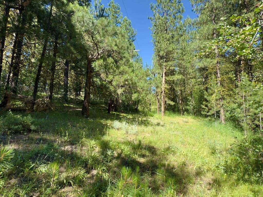 0.67 Acres of Land for Sale in Cascade, Idaho