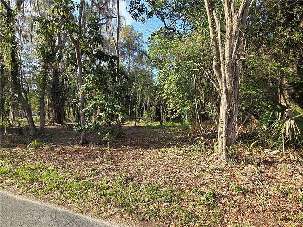 0.15 Acres of Residential Land for Sale in Gainesville, Florida