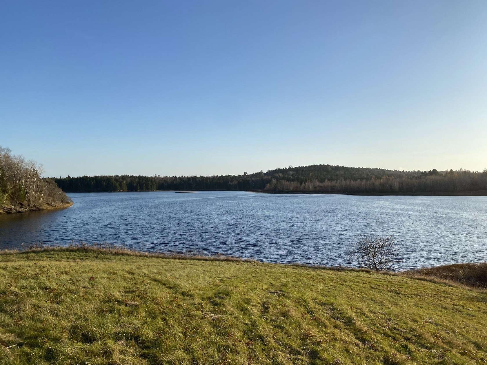 4 Acres of Land for Sale in Jonesboro, Maine