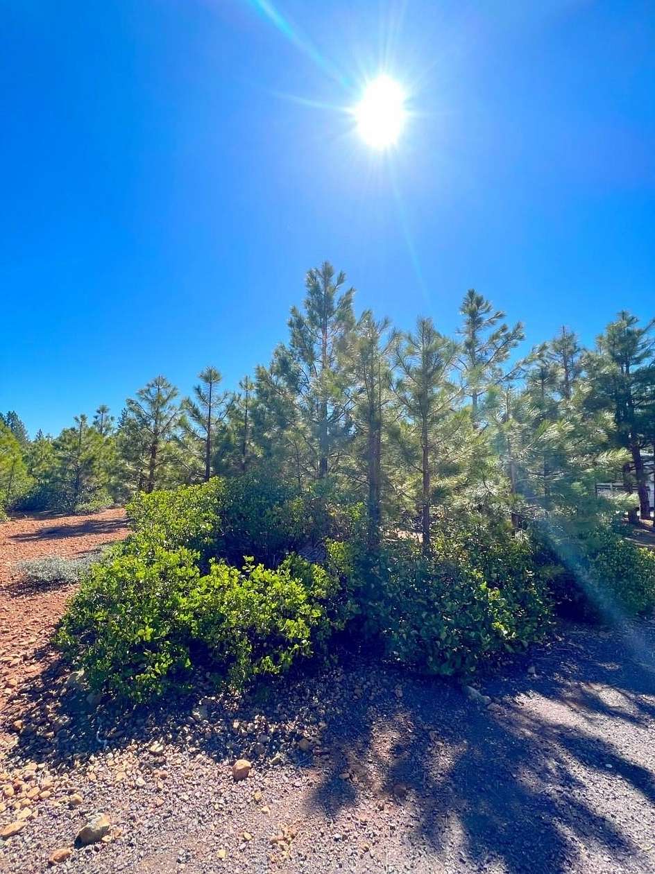 0.29 Acres of Land for Sale in Lake Almanor Peninsula, California