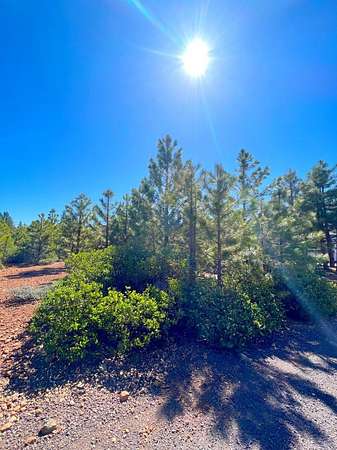 0.29 Acres of Land for Sale in Lake Almanor Peninsula, California