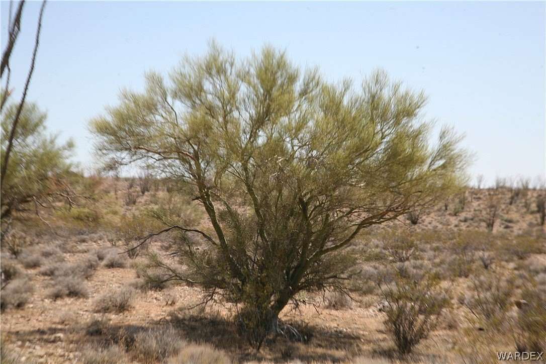 4.39 Acres of Residential Land for Sale in Yucca, Arizona