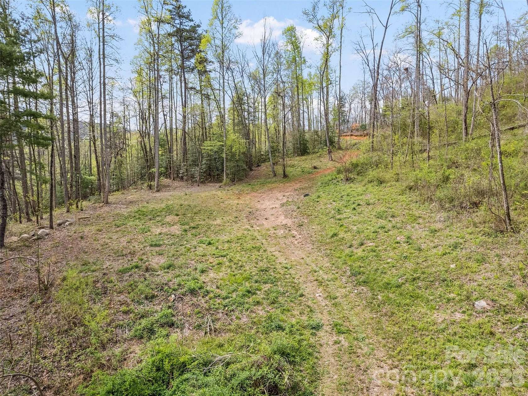 11.6 Acres of Land for Sale in Robbinsville, North Carolina