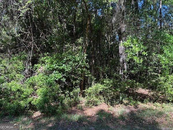 0.78 Acres of Residential Land for Sale in Saint Simons Island, Georgia