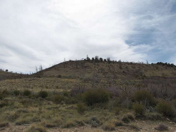 10 Acres of Land for Sale in Fruitland, Utah