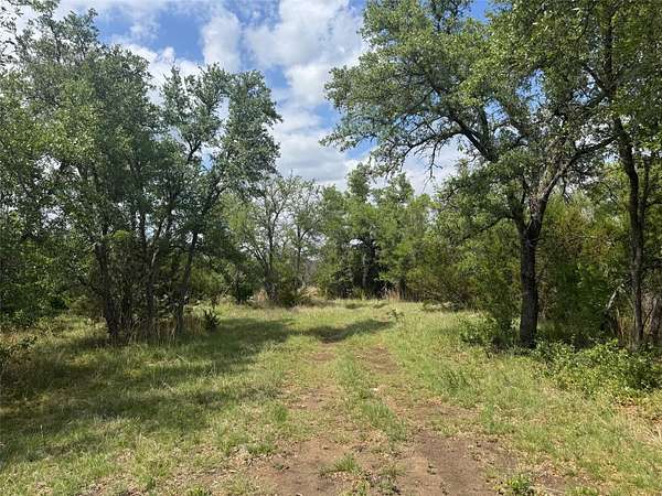12 Acres of Land for Sale in Briggs, Texas