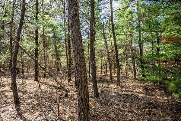1.5 Acres of Residential Land for Sale in Necedah, Wisconsin