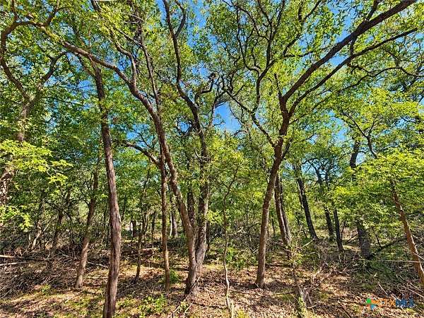 1.57 Acres of Residential Land for Sale in Salado, Texas