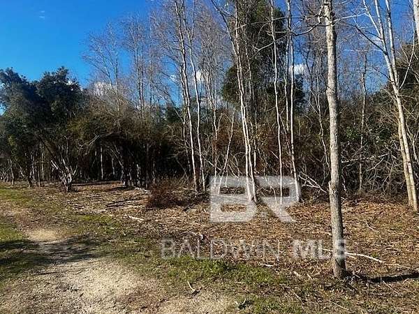 Residential Land for Sale in Theodore, Alabama