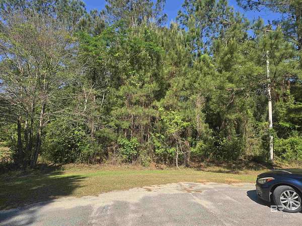 Residential Land for Sale in Stapleton, Alabama