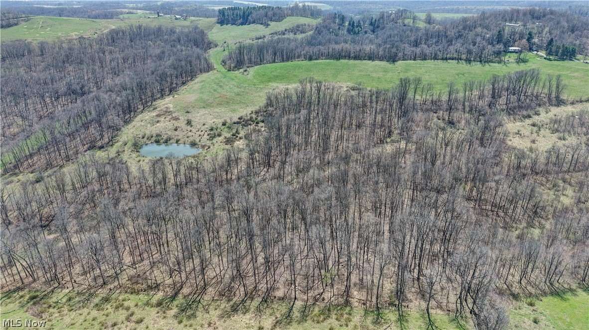 39 Acres of Recreational Land for Auction in Millersburg, Ohio