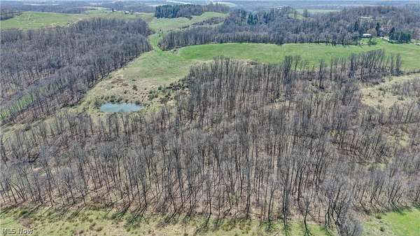 39 Acres of Recreational Land for Auction in Millersburg, Ohio