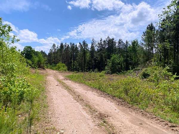 115 Acres of Agricultural Land for Sale in Sparkman, Arkansas