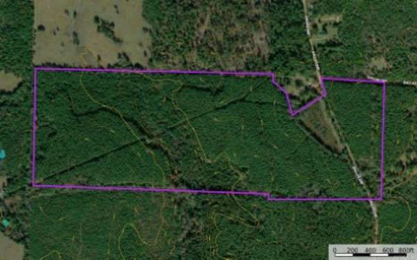 115 Acres of Agricultural Land for Sale in Sparkman, Arkansas
