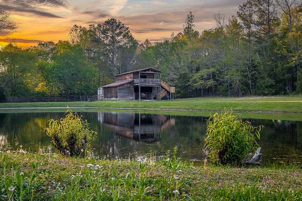 38.8 Acres of Land for Sale in Piedmont, Alabama