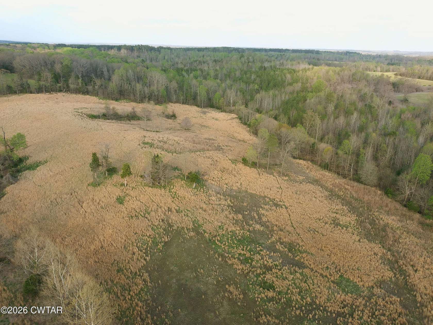 Residential Land for Sale in Hollow Rock, Tennessee