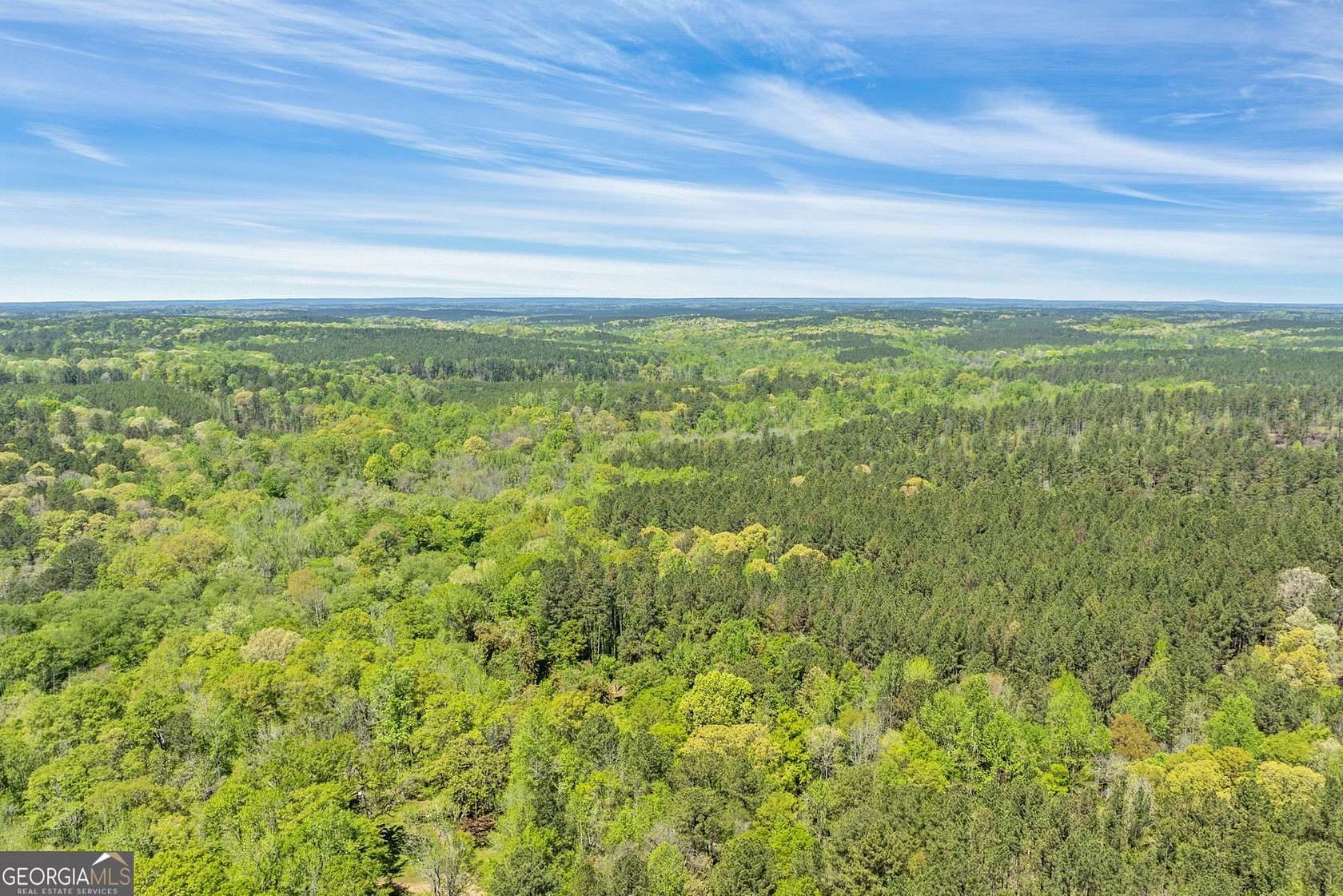 155 Acres of Recreational Land for Sale in LaGrange, Georgia