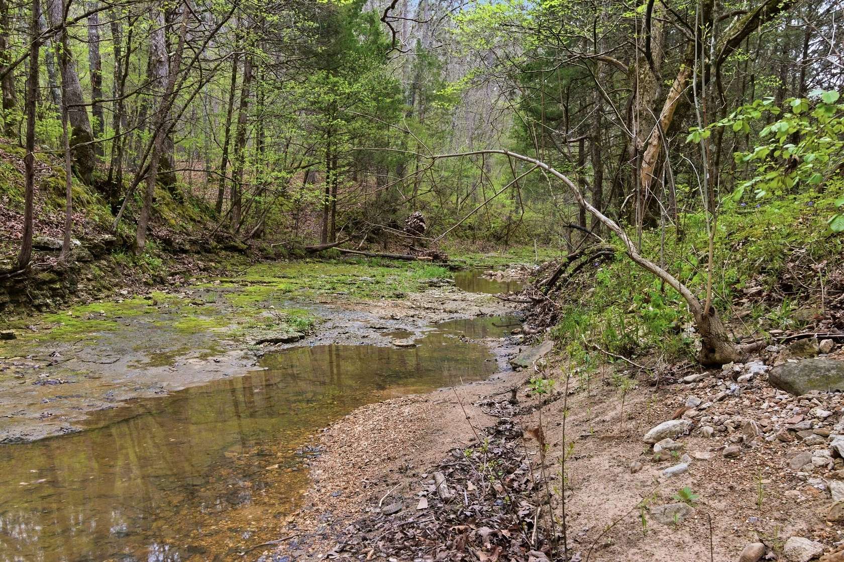 375 Acres of Recreational Land for Sale in Licking, Missouri