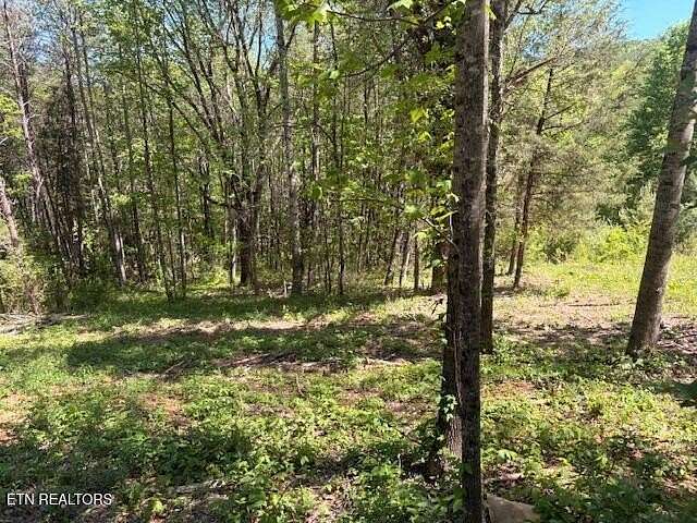 2.67 Acres of Residential Land for Sale in Niota, Tennessee