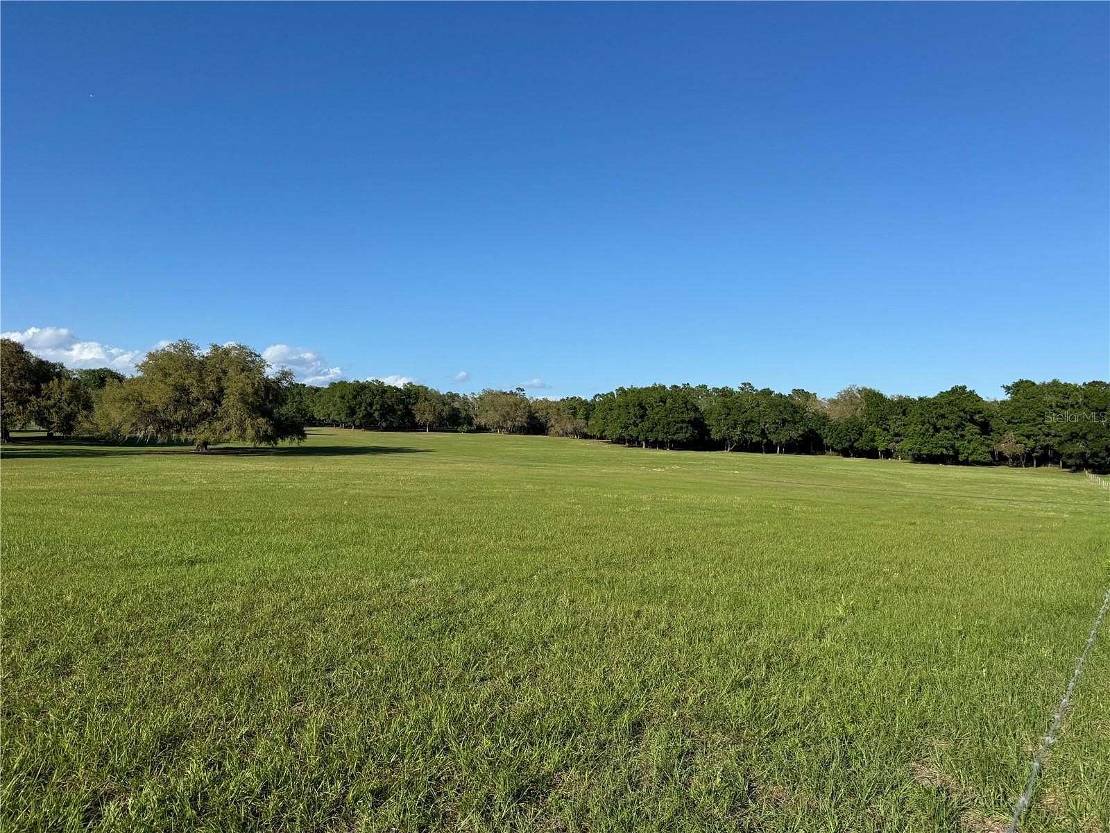 159 Acres of Agricultural & Residential Land for Sale in Lady Lake, Florida