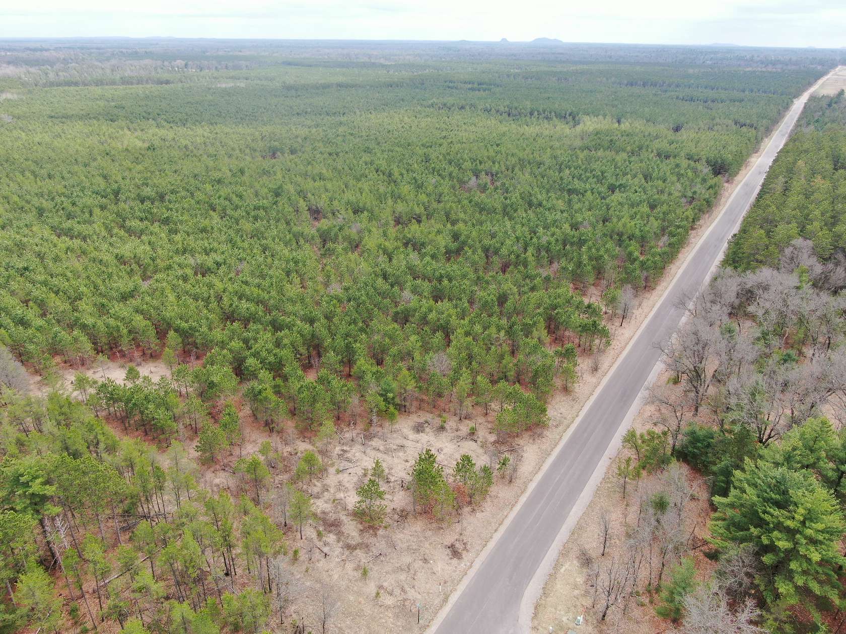 80 Acres of Land for Sale in Arkdale, Wisconsin