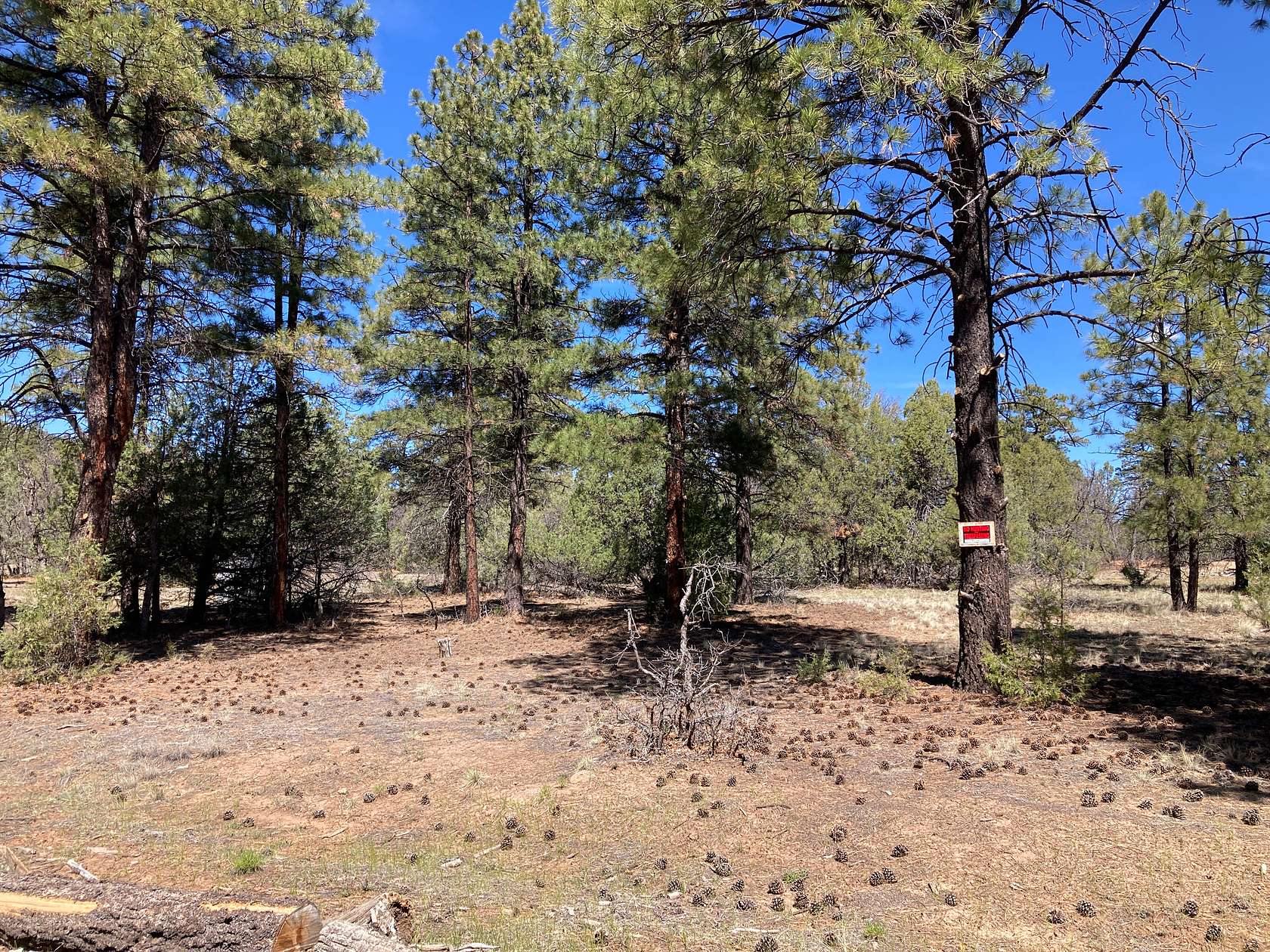 7.7 Acres of Land for Sale in Rutheron, New Mexico