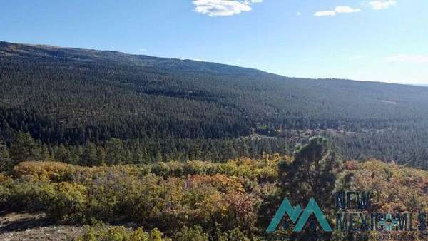 24 Acres of Land for Sale in Chama, New Mexico
