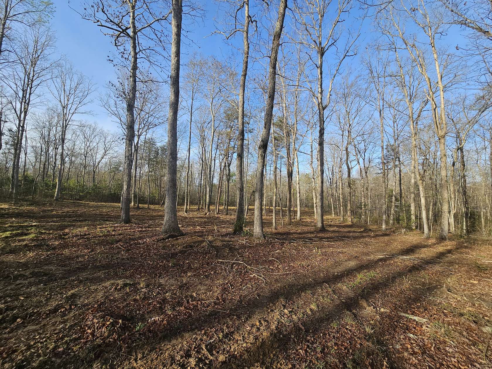 7.46 Acres of Residential Land for Sale in Gruetli-Laager, Tennessee