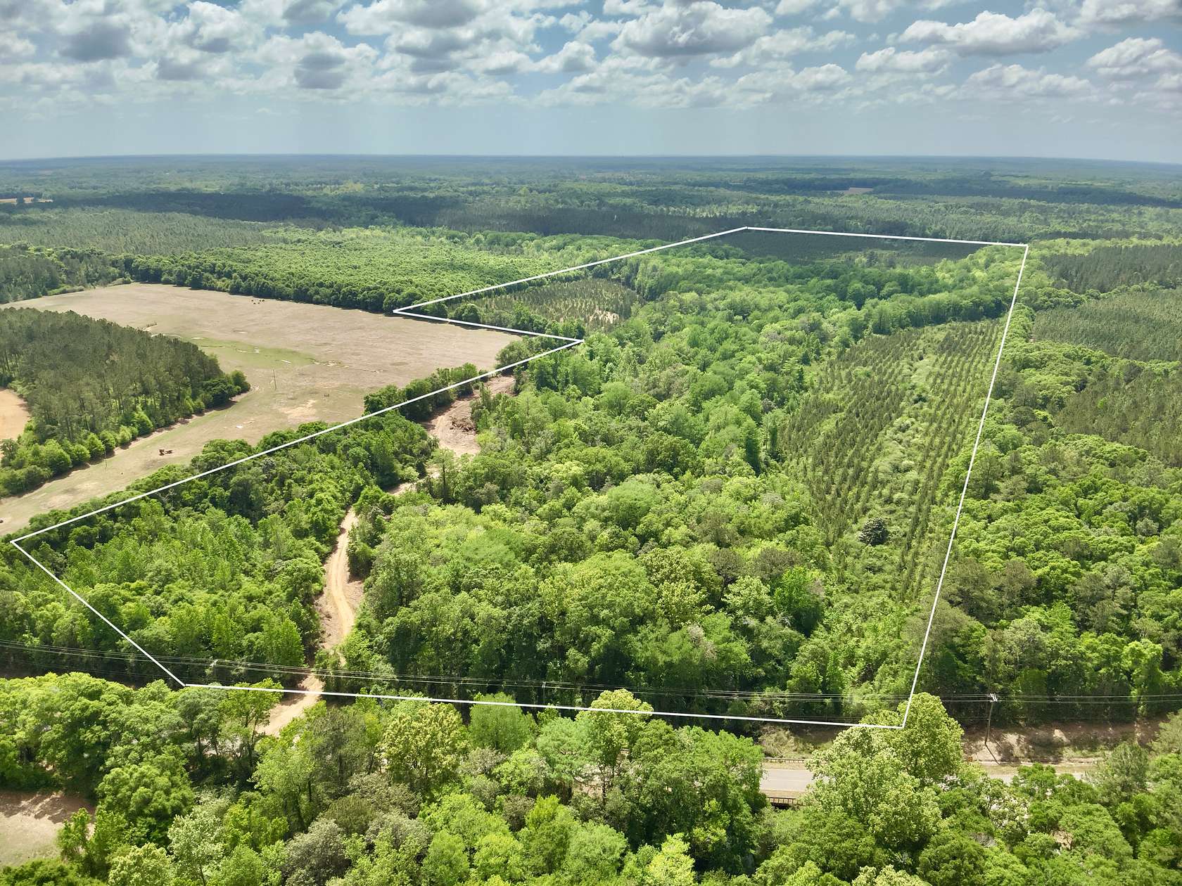 105 Acres of Land for Sale in Hartford, Alabama