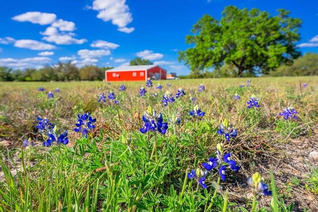 20 Acres of Improved Recreational Land for Sale in Mountain Home, Texas