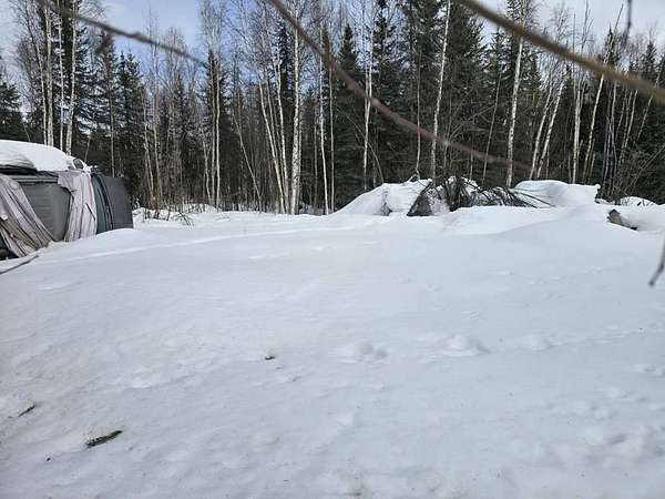1.37 Acres of Residential Land for Sale in North Pole, Alaska