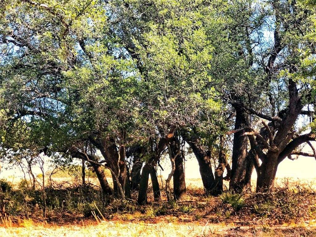 5 Acres of Residential Land for Sale in Dublin, Texas