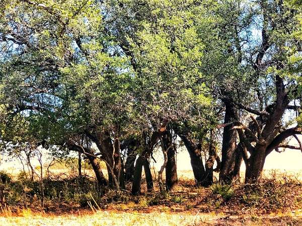 5 Acres of Residential Land for Sale in Dublin, Texas