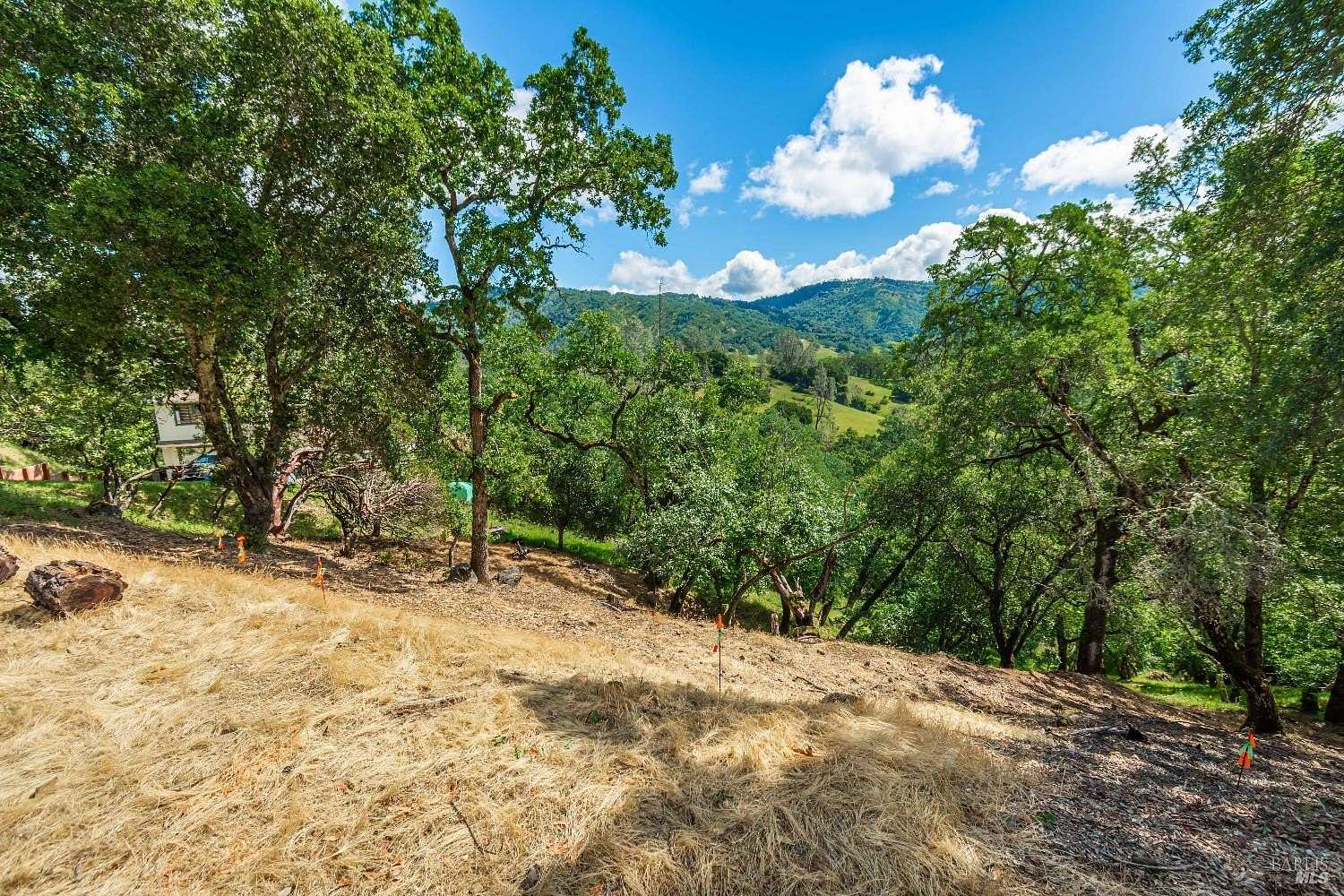 0.24 Acres of Residential Land for Sale in Napa, California