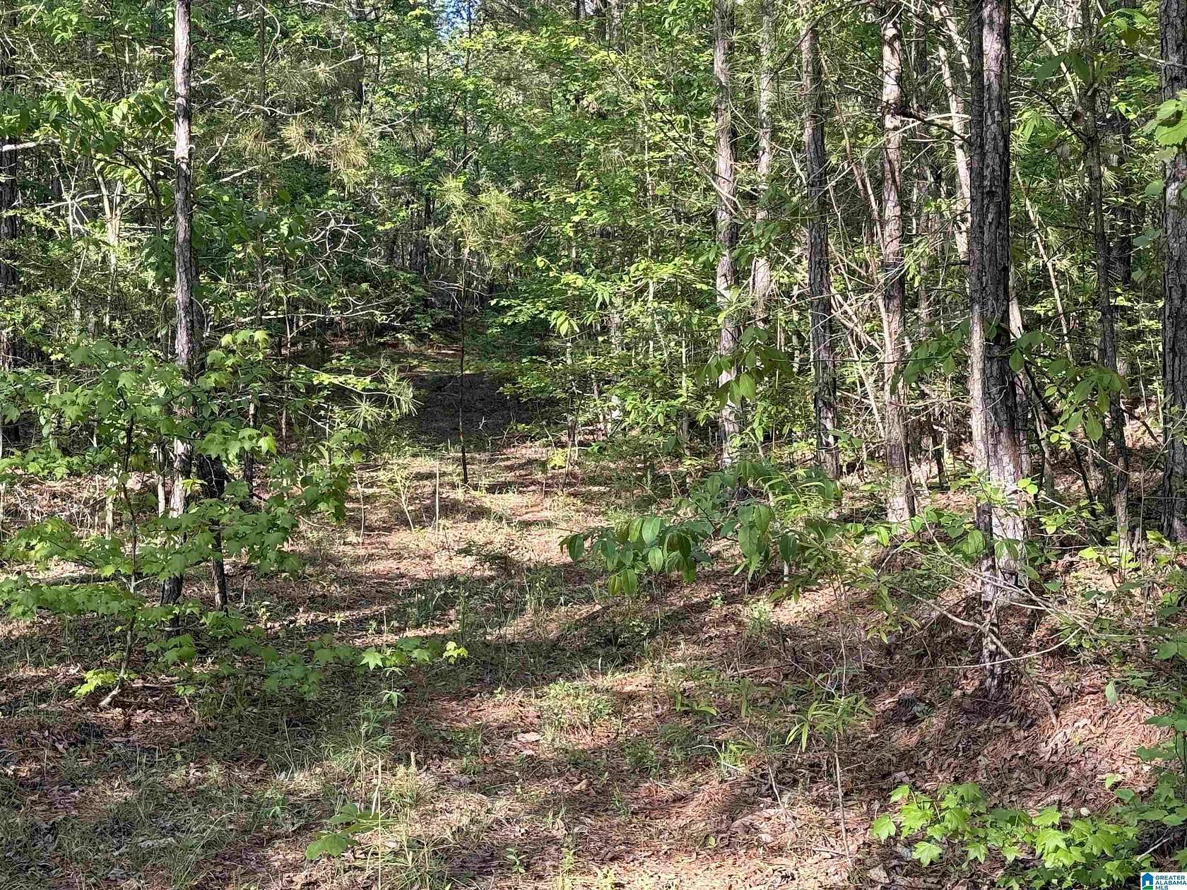 66.9 Acres of Agricultural & Residential Land for Sale in Vincent, Alabama